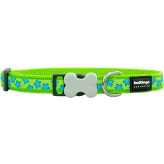 Red Dingo nyakörv Design Stars Turquoise on Lime Green 