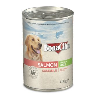 Bonacibo Canned Dog Foods Salmon kutyakonzerv