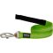 Red Dingo póráz Design Daisy Chain lime green  