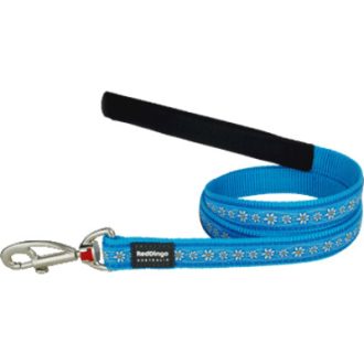Red Dingo póráz Design Daisy Chain türkizkék 