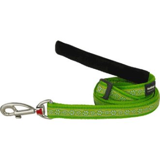 Red Dingo póráz Design Daisy Chain lime green  