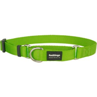 Red Dingo Classic félfojtó nyakörv kutyának lime green 