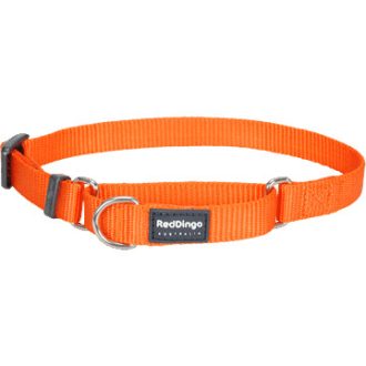 Red Dingo Classic félfojtó nyakörv kutyának narancs 