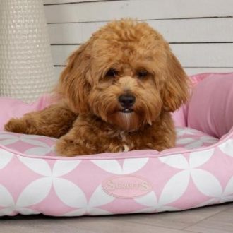 Scruffs Florence Box Bed kutyaágy pink 