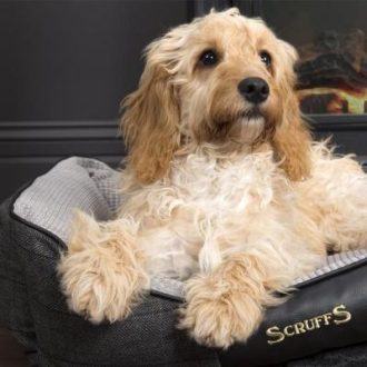 Scruffs Windsor Box Bed kutyaágy charcoal 