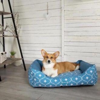 Scruffs Casablanca Box Bed kutyaágy kék 