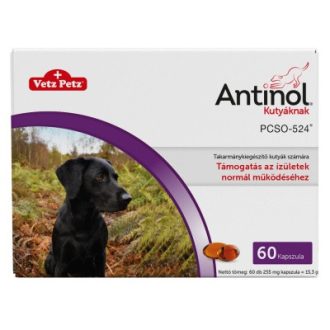 Antinol takarmánykiegészítő kapszula kutyáknak 60db