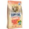 Happy Dog NaturCroq Lachs and Reis táp kutyáknak  11kg