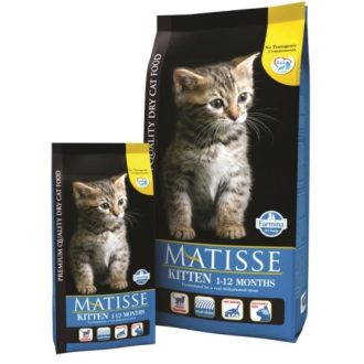 Matisse Kitten macskatáp 10kg